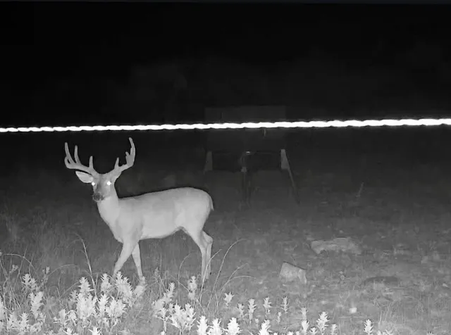 a picture of floor plan