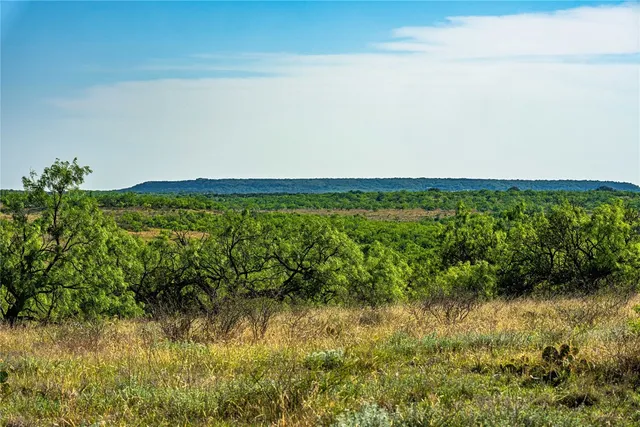 a view of a field with an ocean
