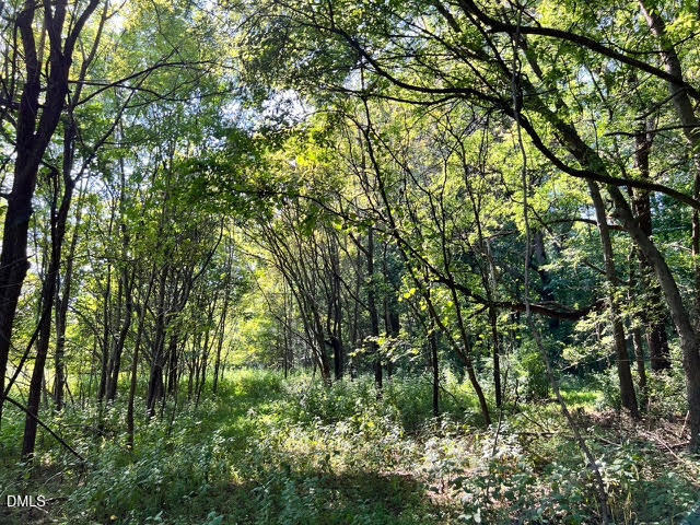 a backyard of a house with lots of swings