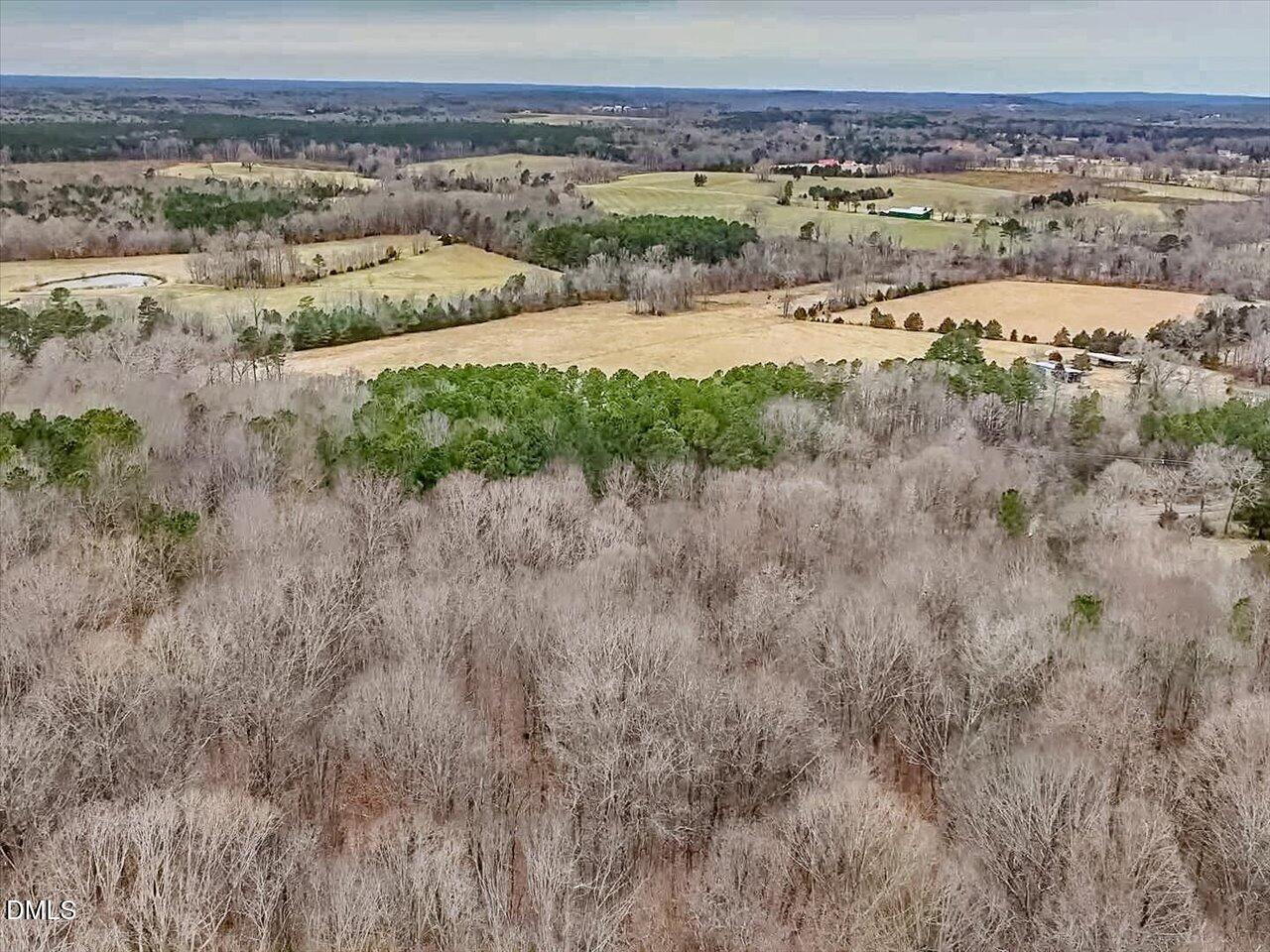 2338 Bowers Store Road Siler City, NC 27344 - Photo 12 of 19 a view of a lake view