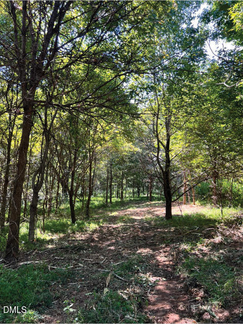 2338 Bowers Store Road Siler City, NC 27344 - Photo 2 of 19 a view of a tree in a yard