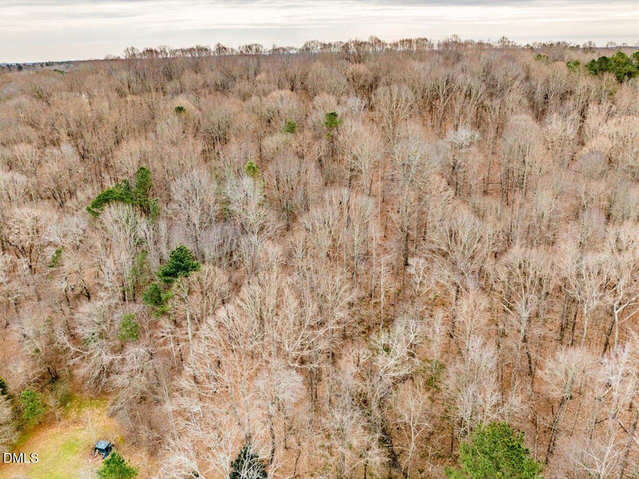 2338 Bowers Store Road Siler City, NC 27344 - Photo 5 of 17 07-018-2310BowersStoreRd-Tract-02-202601