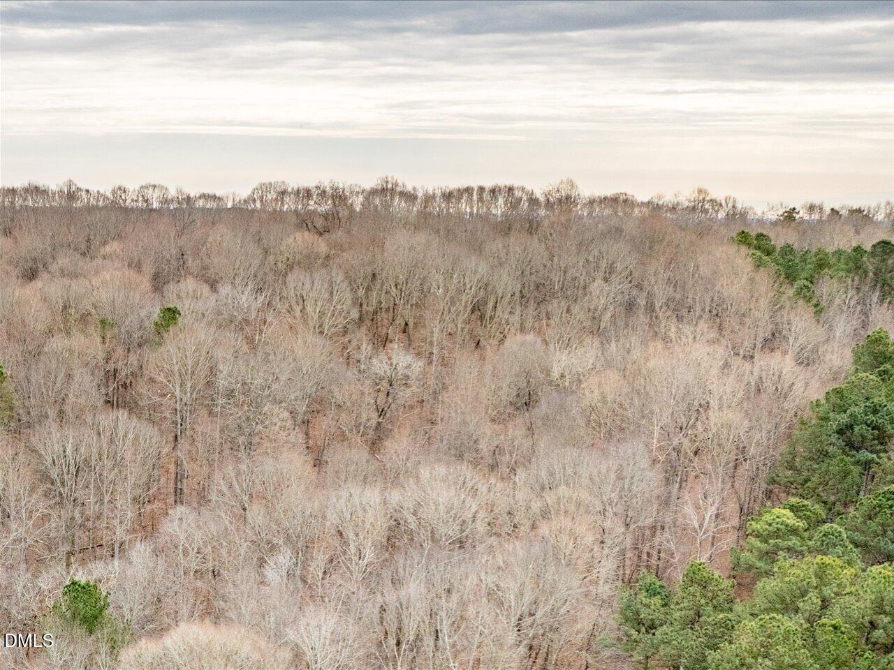 2338 Bowers Store Road Siler City, NC 27344 - Photo 7 of 17 09-020-2310BowersStoreRd-Tract-02-202601