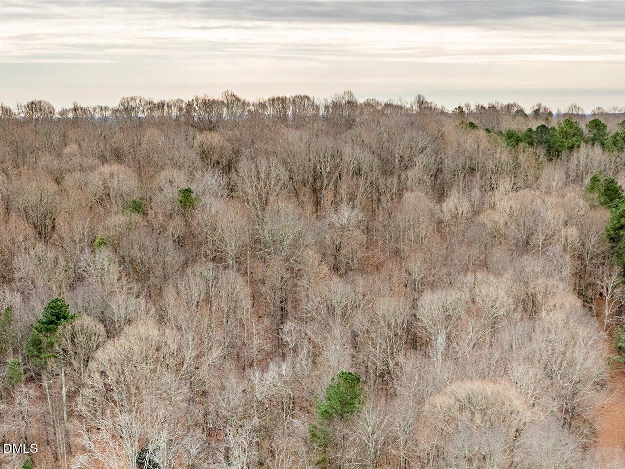 2338 Bowers Store Road Siler City, NC 27344 - Photo 8 of 19 a view of mountain