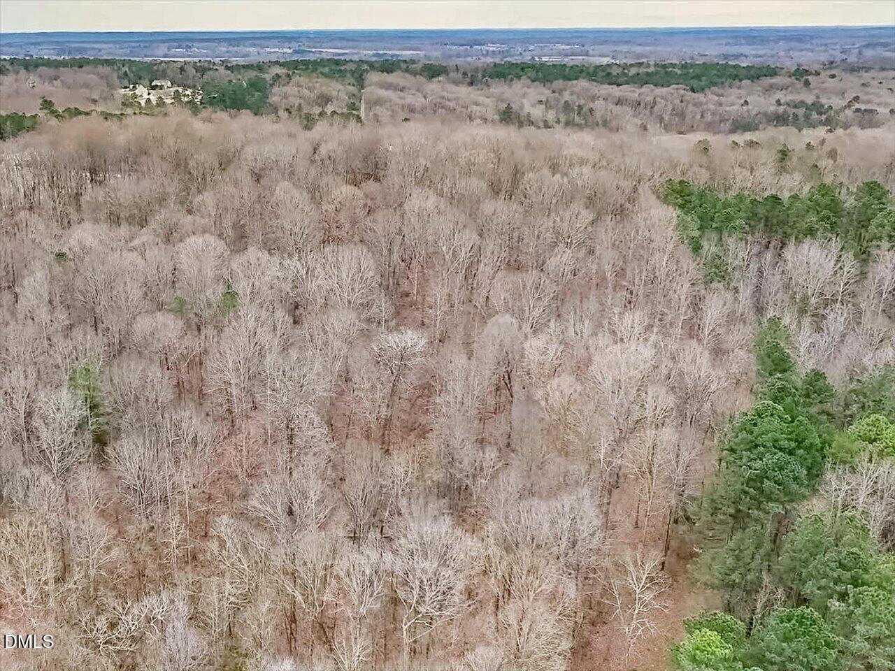 2338 Bowers Store Road Siler City, NC 27344 - Photo 9 of 17 11-022-2310BowersStoreRd-Tract-02-202601