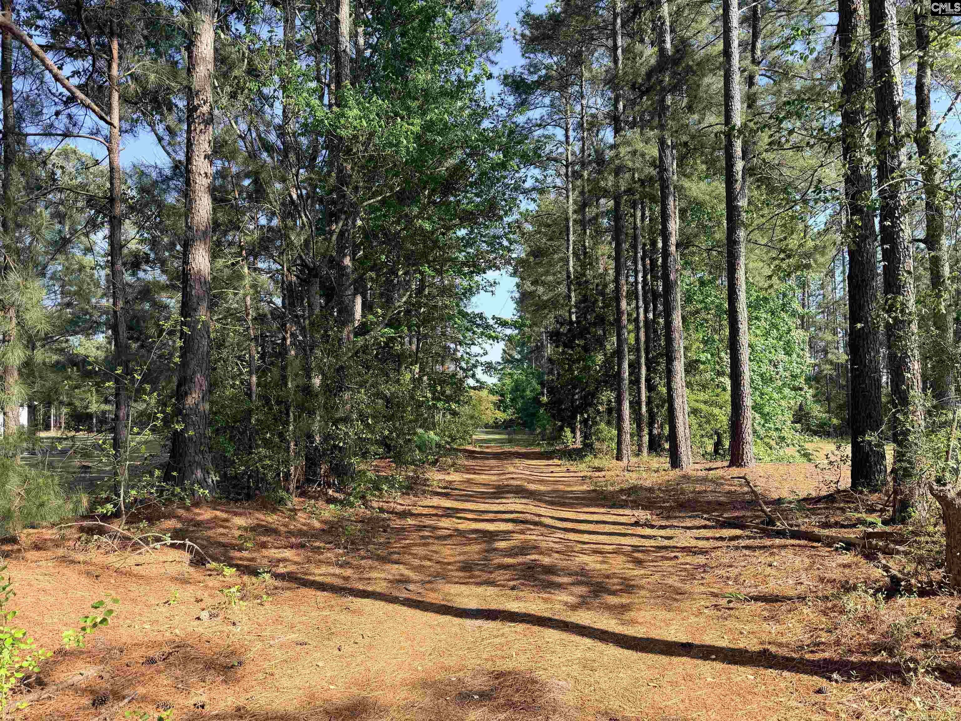 72 Favor Road Camden, SC 29020 - Photo 6 of 53