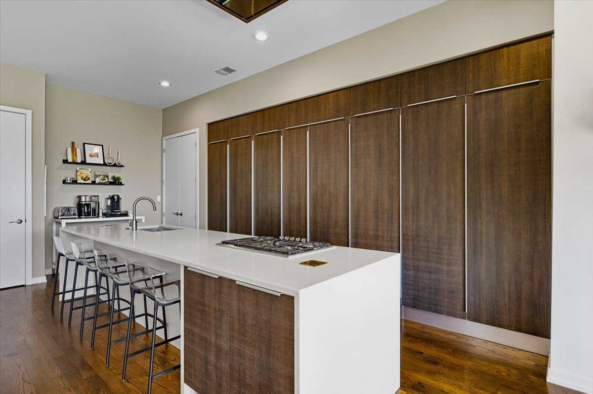 756 North Leavitt Street, Unit 3SW Chicago, IL 60612 - Photo 4 of 22