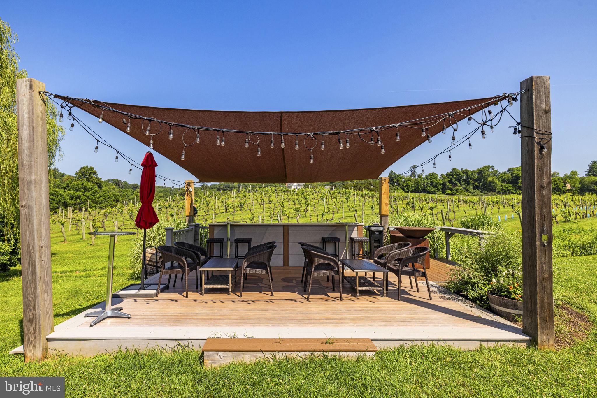 6190 Georgetown Road Broad Run, VA 20137 - Photo 19 of 95 Outdoor tasting bar
