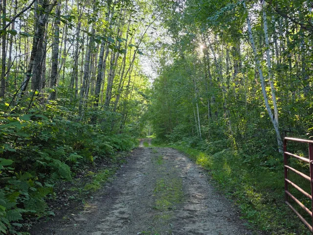 $199,900 | 351 Pine Mountain Lake Road Northwest, Backus, MN 56435