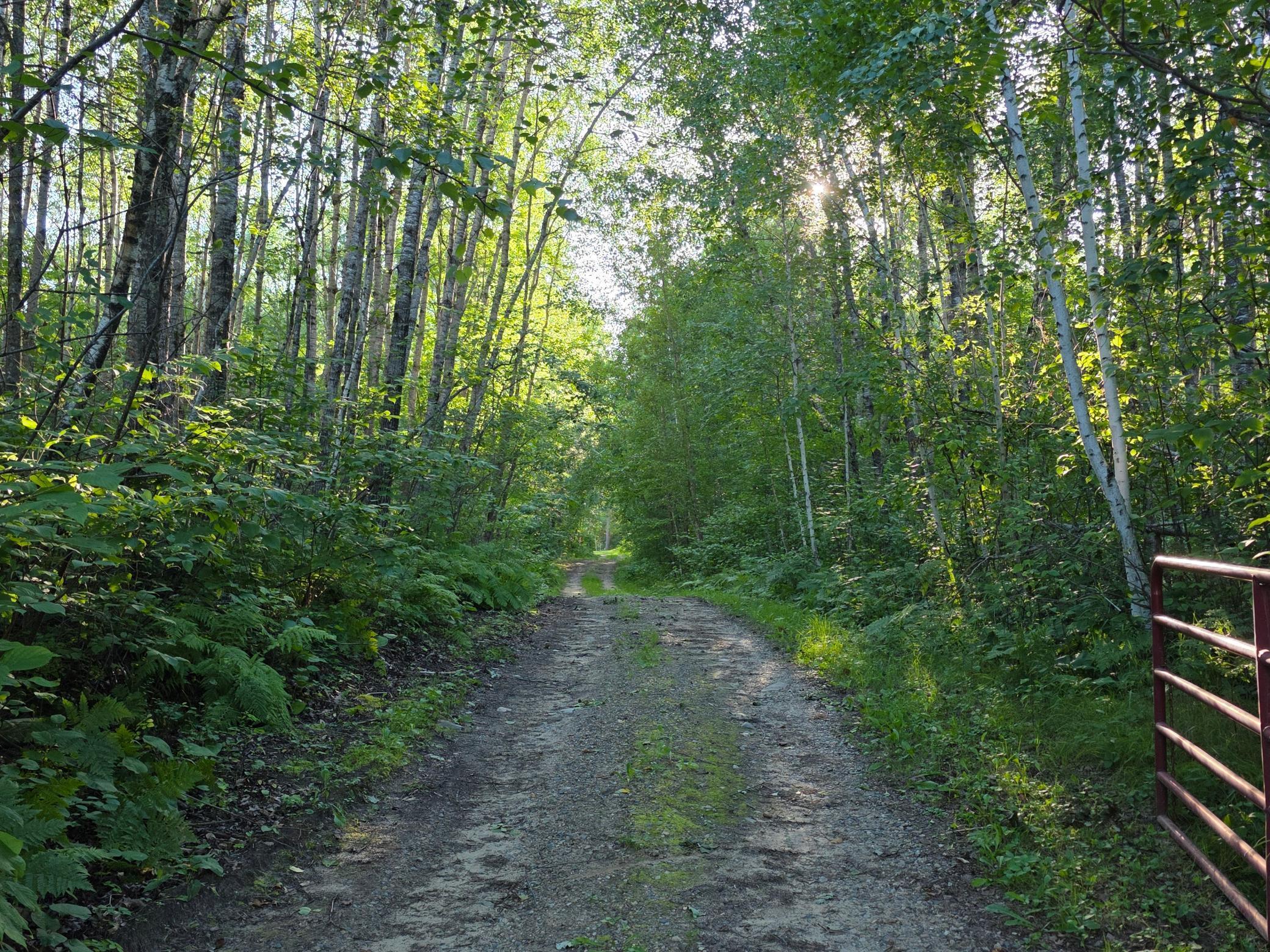 351 Pine Mountain Lake Road Northwest Backus, MN 56435 - Photo 6 of 29