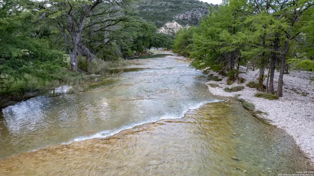 a view of a yard with trees