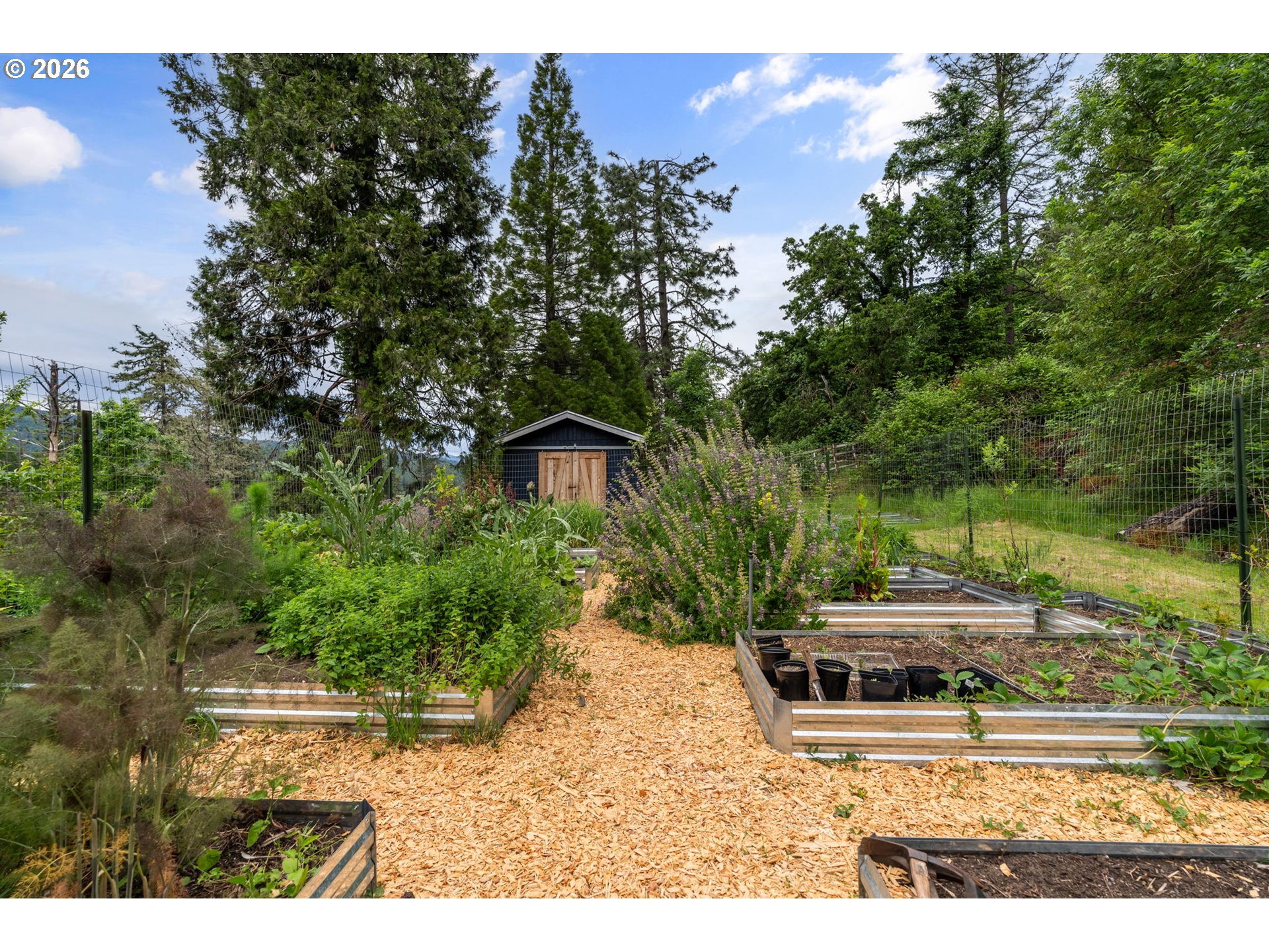 89093 Marcola Road Springfield, OR 97478 - Photo 23 of 25 a view of a backyard with sitting area