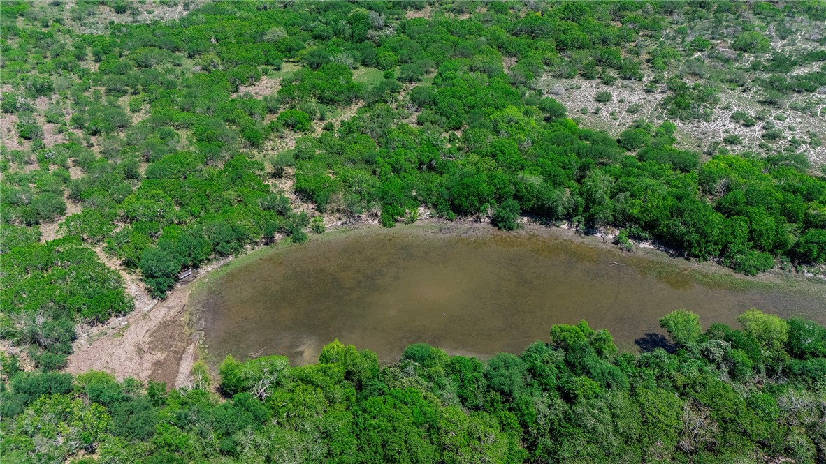 0 County Road 441 Mathis, TX 78368 - Photo 22 of 25 an aerial view of a field with plants and trees all around