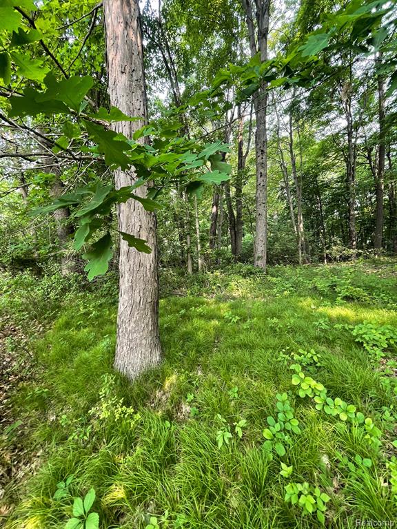 0 Mill Road Dryden, MI 48428 - Photo 13 of 18