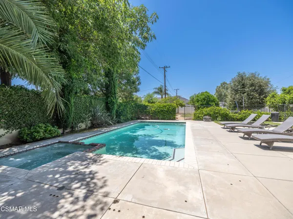 a view of a park with plants and trees