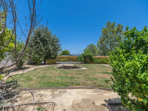 a view of a yard