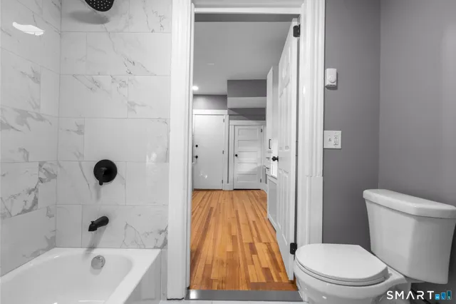 a bathroom with a toilet and a bathtub