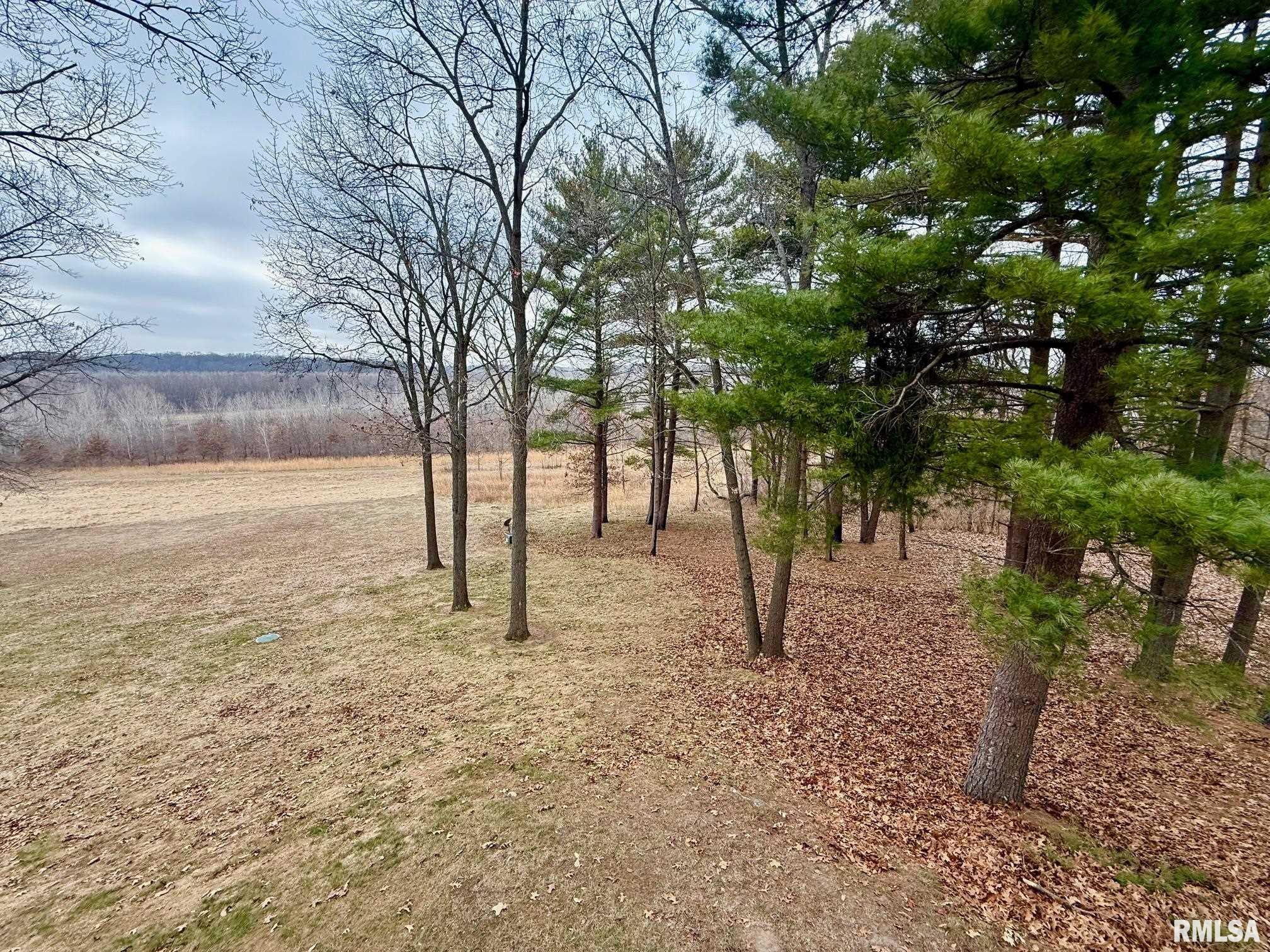 19051 Athens Blacktop Road Petersburg, IL 62675 - Photo 28 of 79