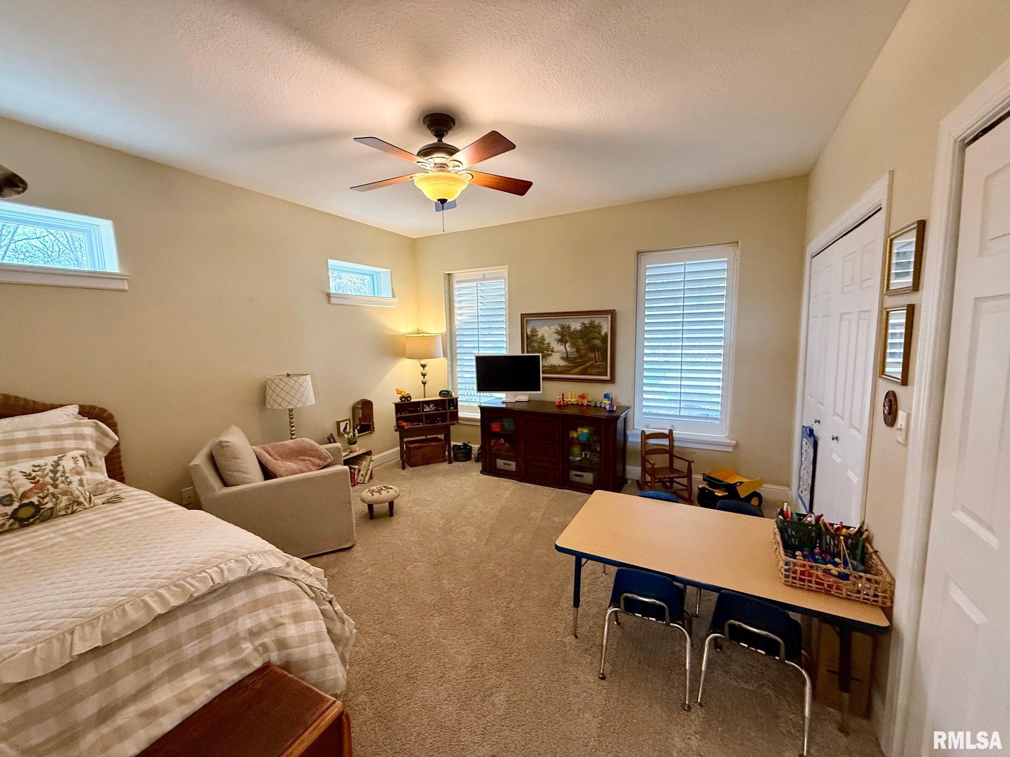 19051 Athens Blacktop Road Petersburg, IL 62675 - Photo 39 of 79