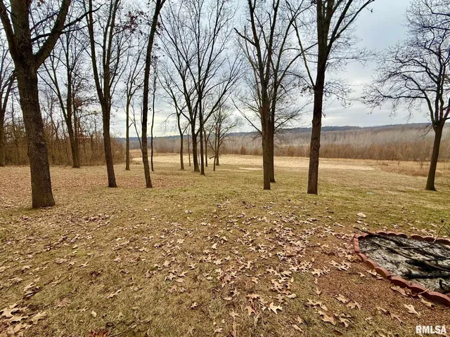 $649,900 | 19051 Athens Blacktop Road, Petersburg, IL 62675