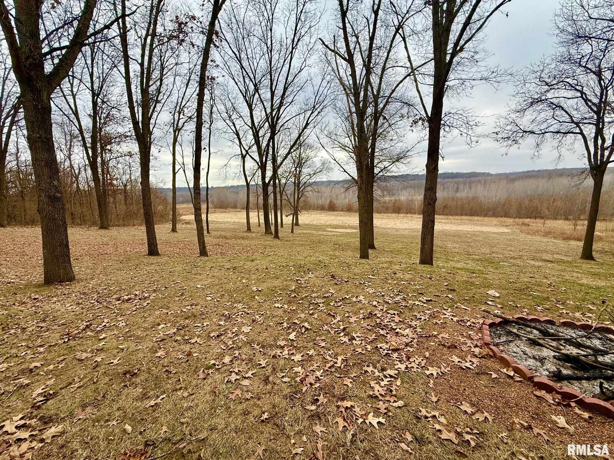 19051 Athens Blacktop Road Petersburg, IL 62675 - Photo 71 of 79