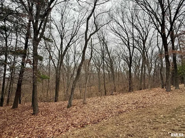 $649,900 | 19051 Athens Blacktop Road, Petersburg, IL 62675