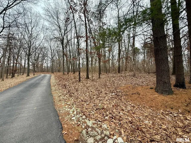 $649,900 | 19051 Athens Blacktop Road, Petersburg, IL 62675