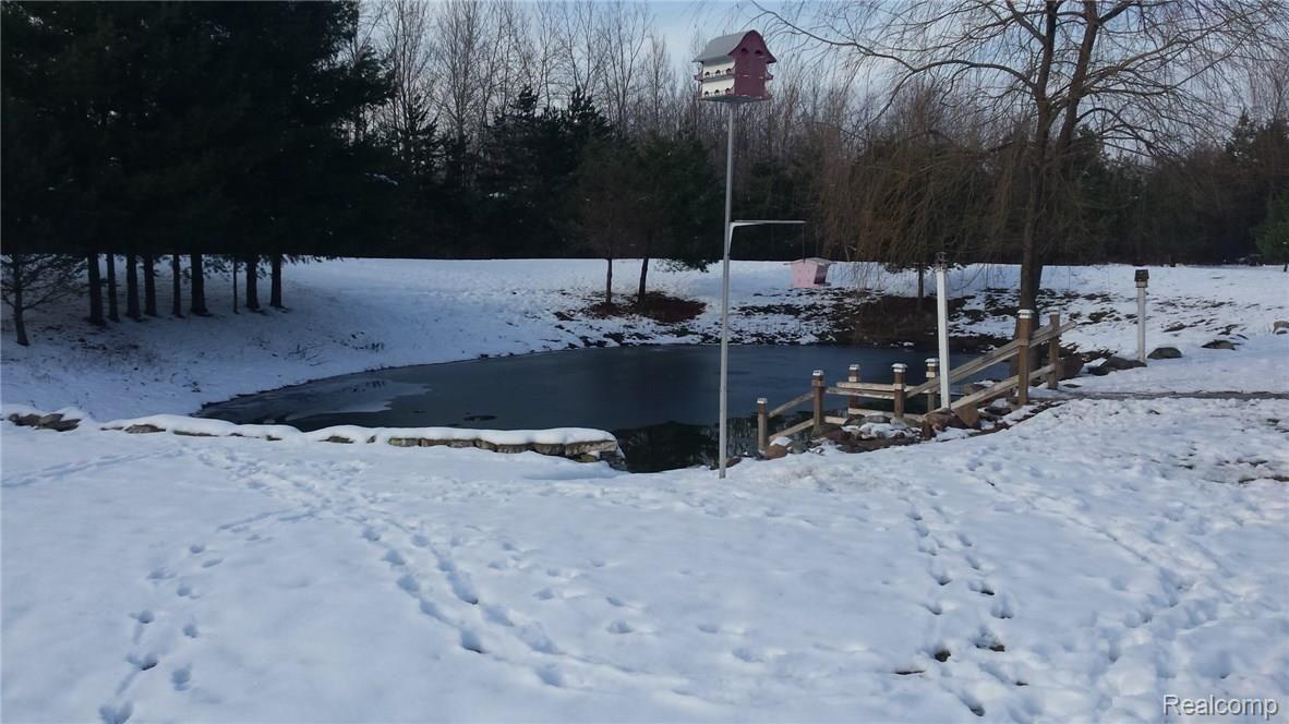 11880 Speaker Road Yale, MI 48097 - Photo 22 of 28 This is a view of the pond.