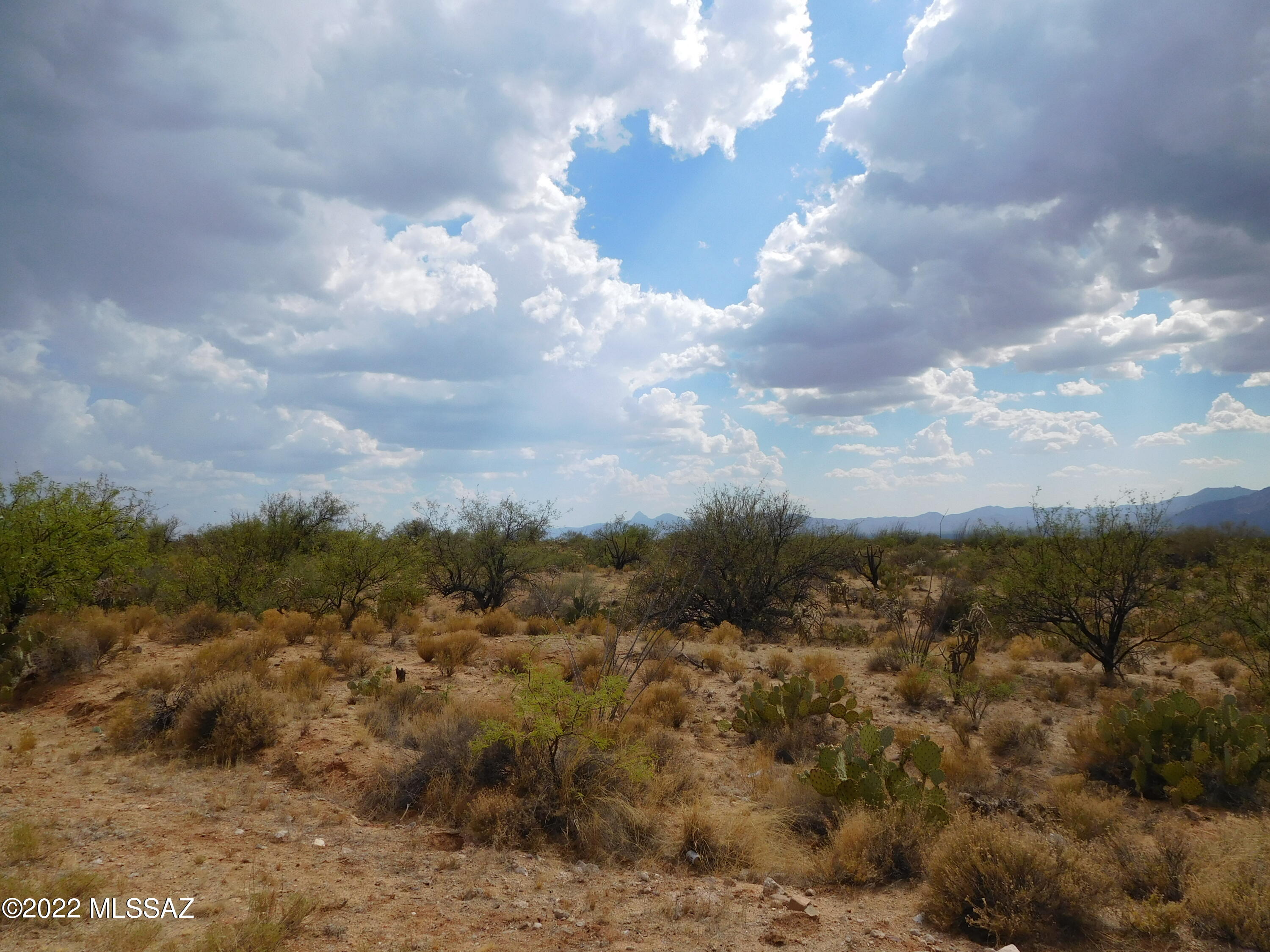 16705 South Sierrita Mountain Road Tucson, AZ 85736 - Photo 36 of 38