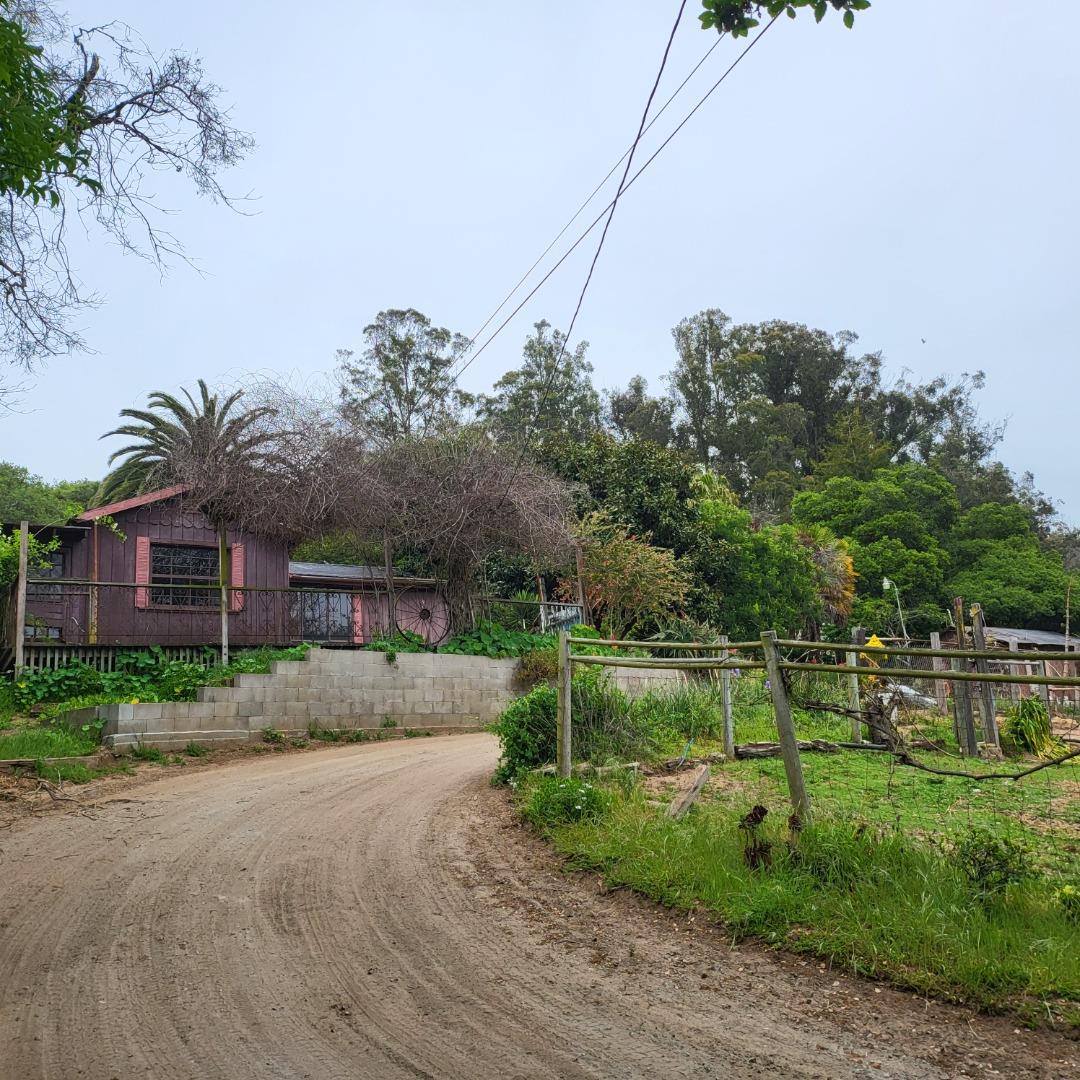 a view of a house with a big yard and large trees