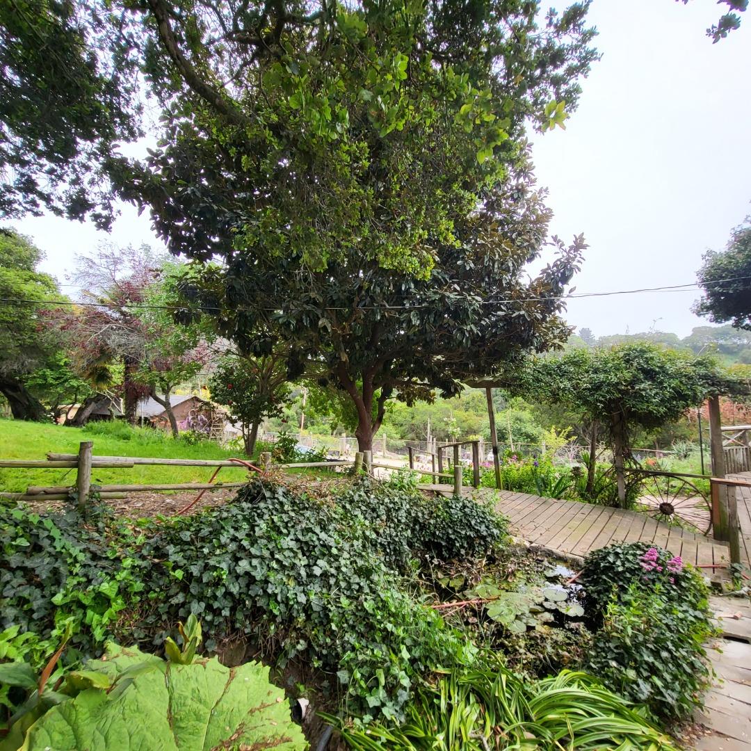 159 Strawberry Road Watsonville, CA 95076 - Photo 11 of 109