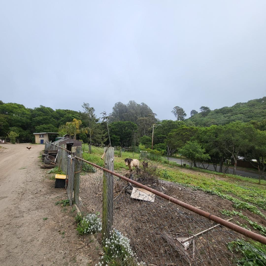 159 Strawberry Road Watsonville, CA 95076 - Photo 14 of 109 a view of a park with large trees