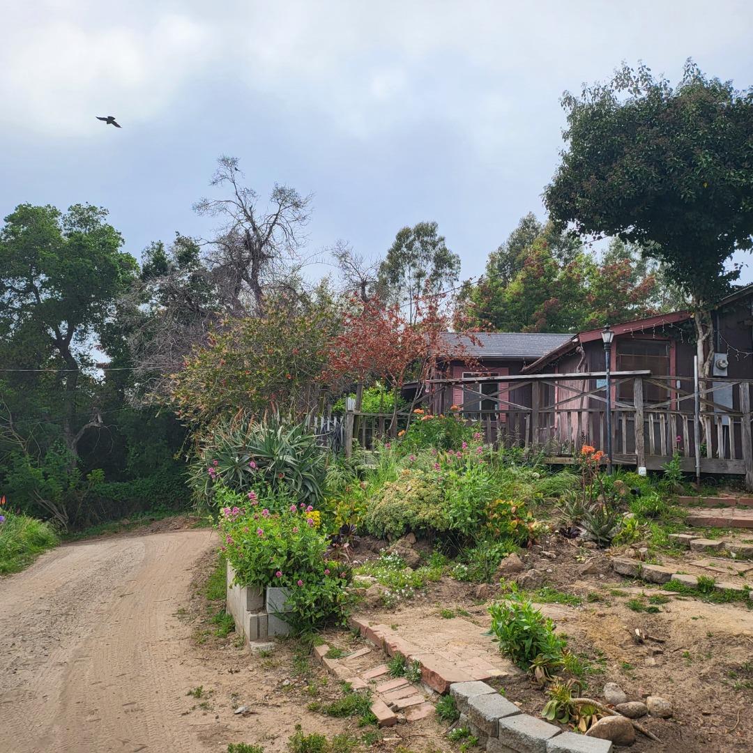 159 Strawberry Road Watsonville, CA 95076 - Photo 29 of 109 a view of a backyard with plants and large trees
