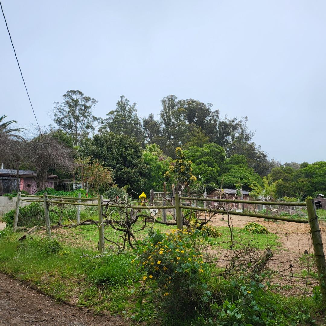 159 Strawberry Road Watsonville, CA 95076 - Photo 3 of 109