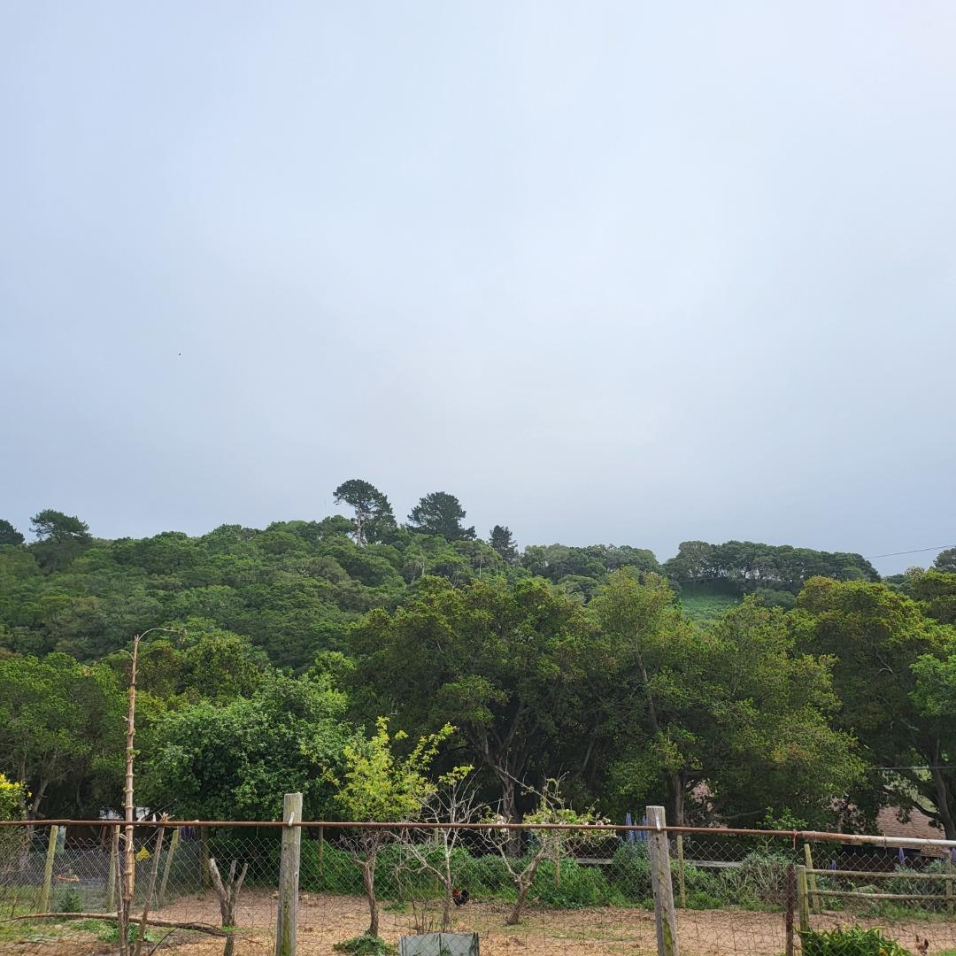 159 Strawberry Road Watsonville, CA 95076 - Photo 31 of 109