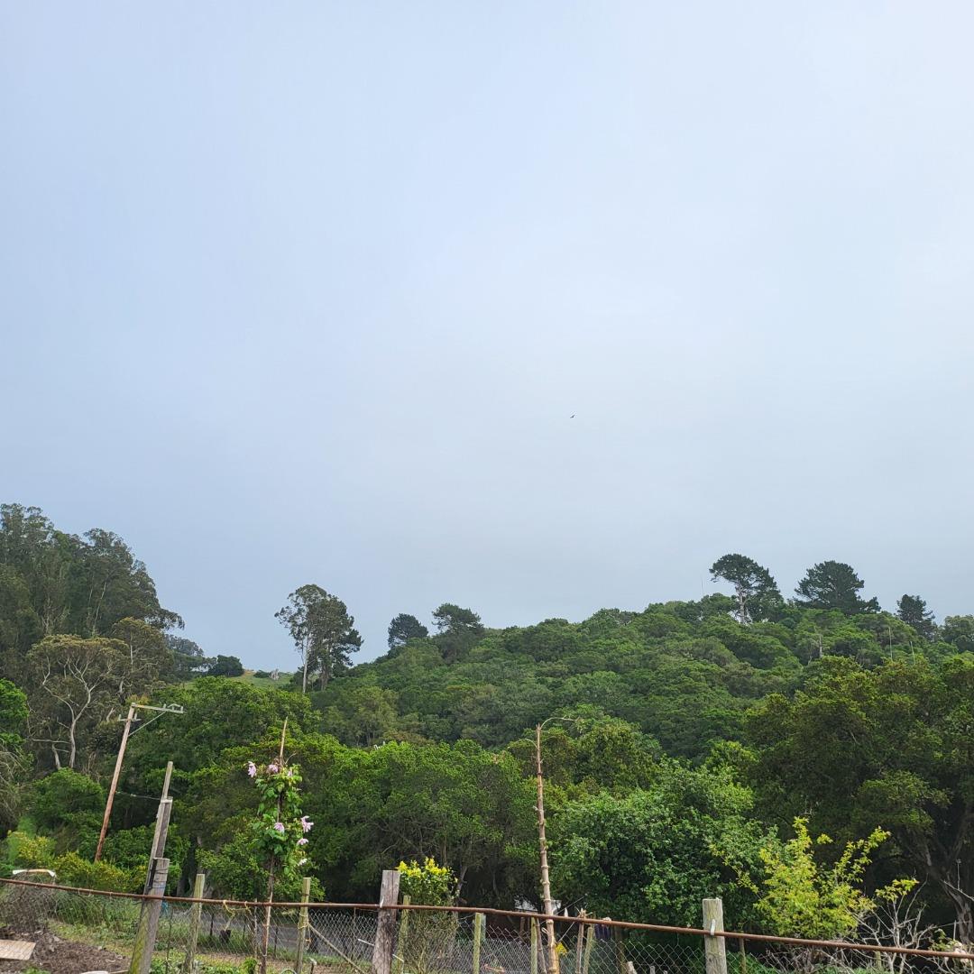 159 Strawberry Road Watsonville, CA 95076 - Photo 32 of 109