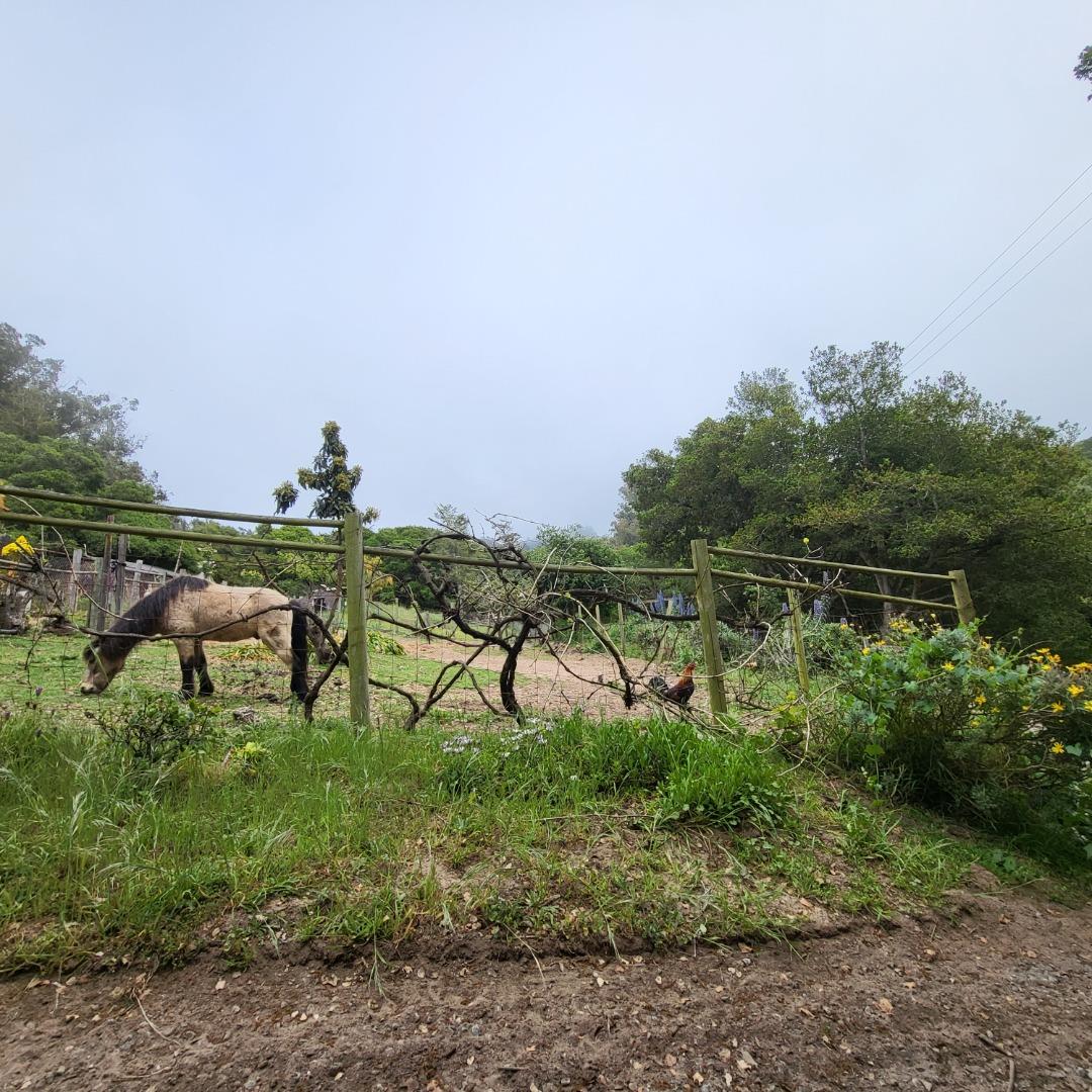 159 Strawberry Road Watsonville, CA 95076 - Photo 34 of 109