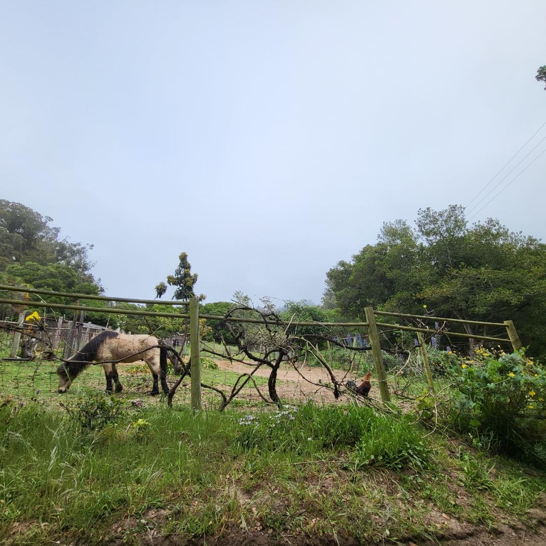 159 Strawberry Road Watsonville, CA 95076 - Photo 35 of 109 a view of a lake with houses in the back