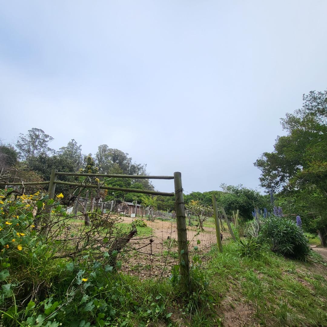159 Strawberry Road Watsonville, CA 95076 - Photo 37 of 109 a view of lake with green space