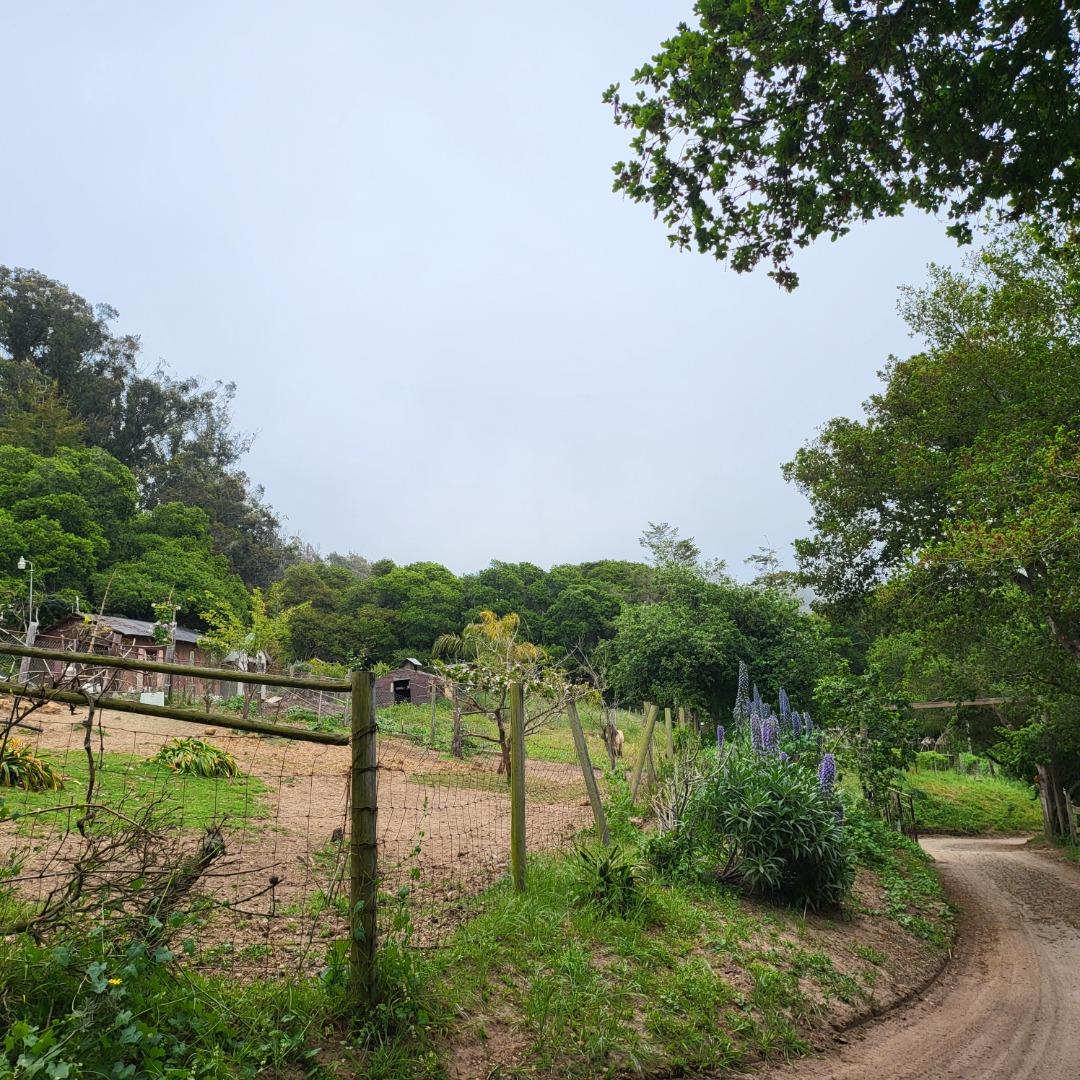 159 Strawberry Road Watsonville, CA 95076 - Photo 7 of 109