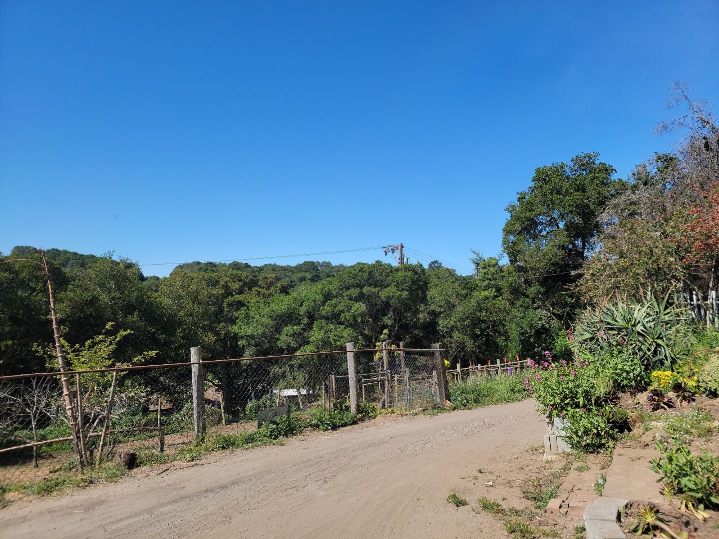 159 Strawberry Road Watsonville, CA 95076 - Photo 88 of 109 a view of a road with a garden