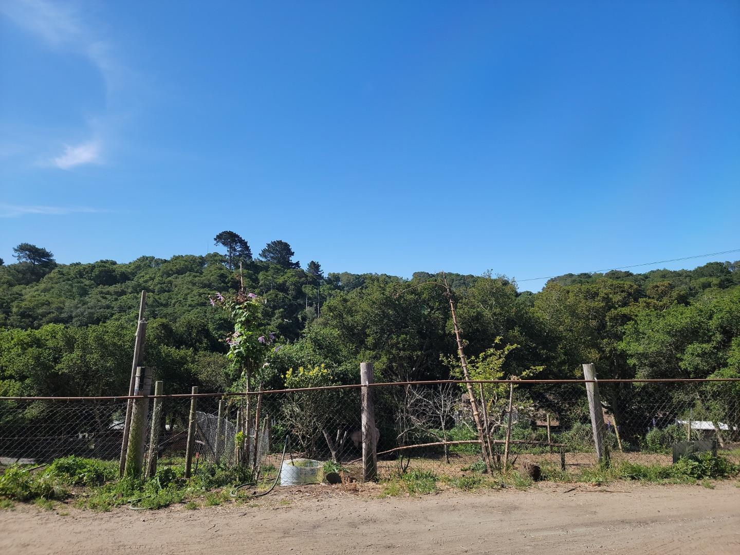 159 Strawberry Road Watsonville, CA 95076 - Photo 89 of 109