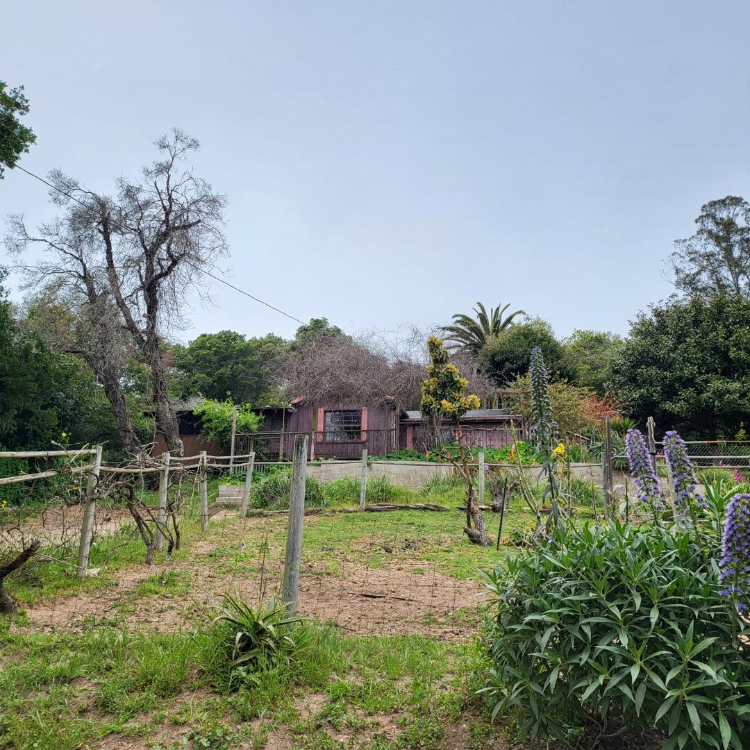 159 Strawberry Road Watsonville, CA 95076 - Photo 9 of 109 a swimming pool with lots of green space and trees in the background