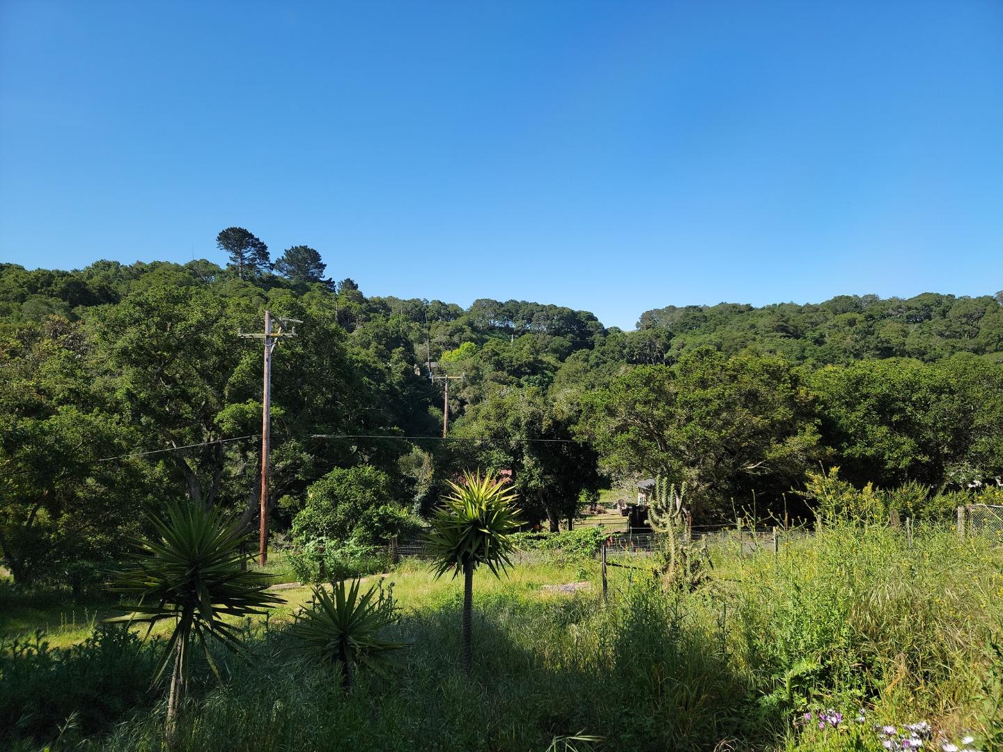 159 Strawberry Road Watsonville, CA 95076 - Photo 93 of 109