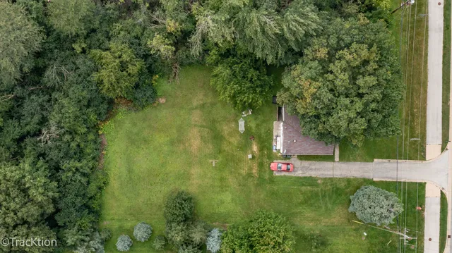an aerial view of green landscape with trees