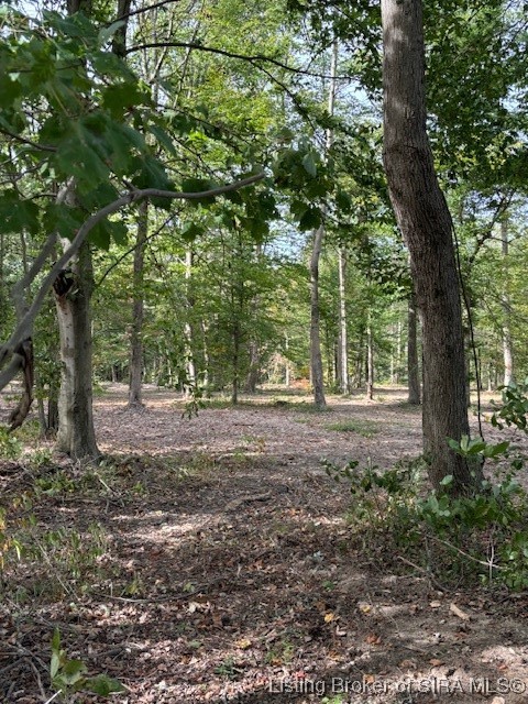 2953 West Borcherding Road Madison, IN 47250 - Photo 4 of 5