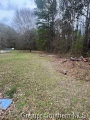 0 Chaffee Road Leesville, LA 71446 - Photo 11 of 21 Gallery Image 11