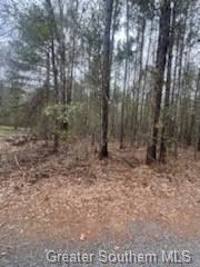 0 Chaffee Road Leesville, LA 71446 - Photo 12 of 21 Gallery Image 12