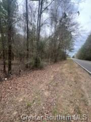 0 Chaffee Road Leesville, LA 71446 - Photo 13 of 21 Gallery Image 13