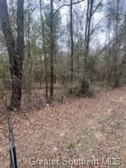 0 Chaffee Road Leesville, LA 71446 - Photo 14 of 21 Gallery Image 14